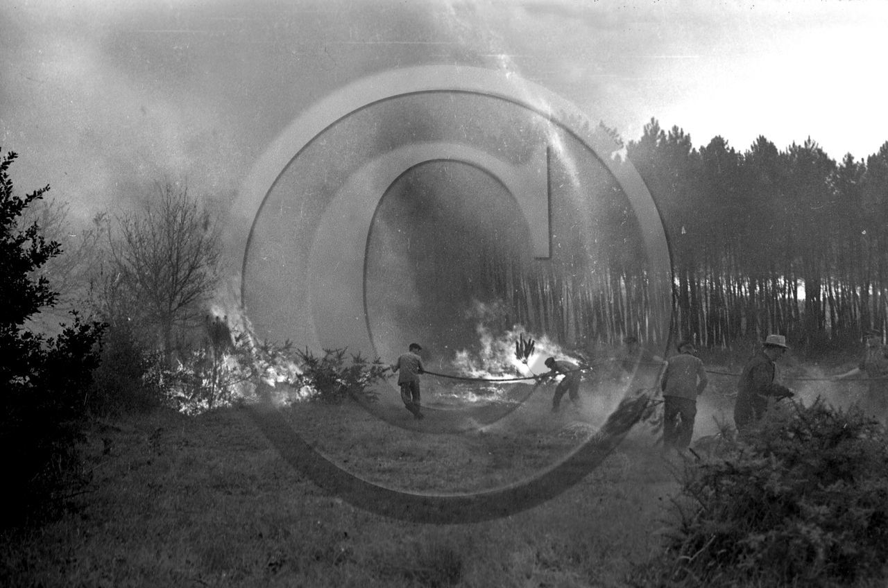 Pompiers du bassin d'Arcachon