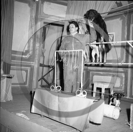 FO-CIRQUE  78  chiens savants  .jpg