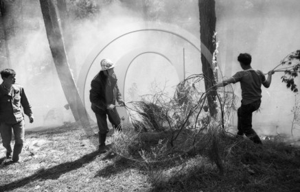 Pompiers du bassin d'Arcachon