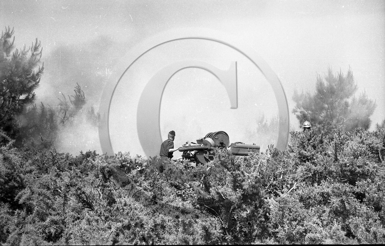 Pompiers du bassin d'Arcachon
