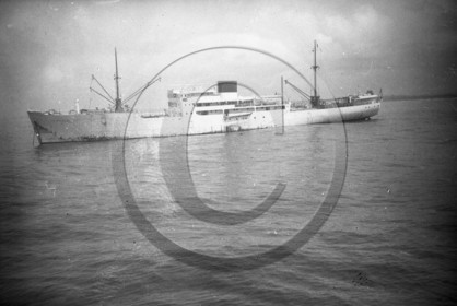 BA 191 Cap des palmes  bananier Cie Frayssinet.jpg