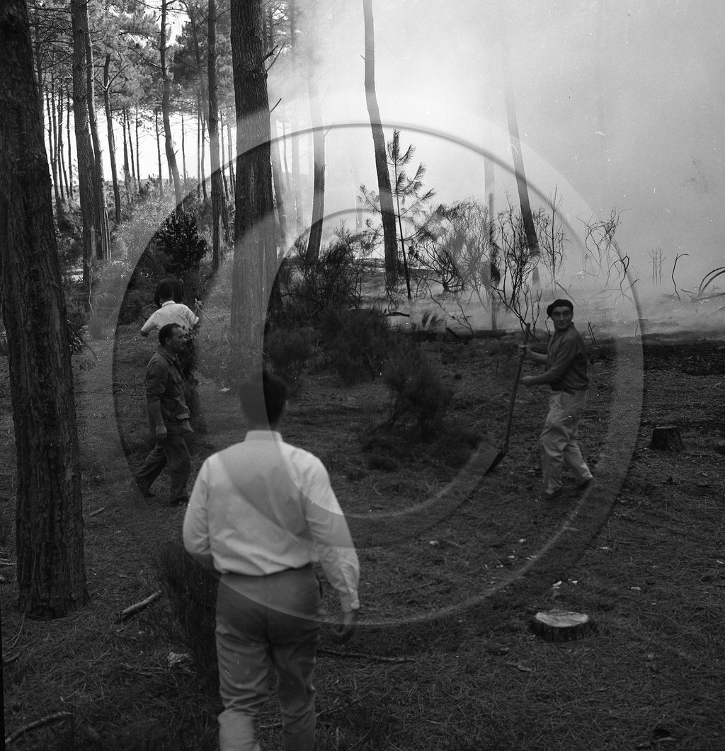 Pompiers du bassin d'Arcachon