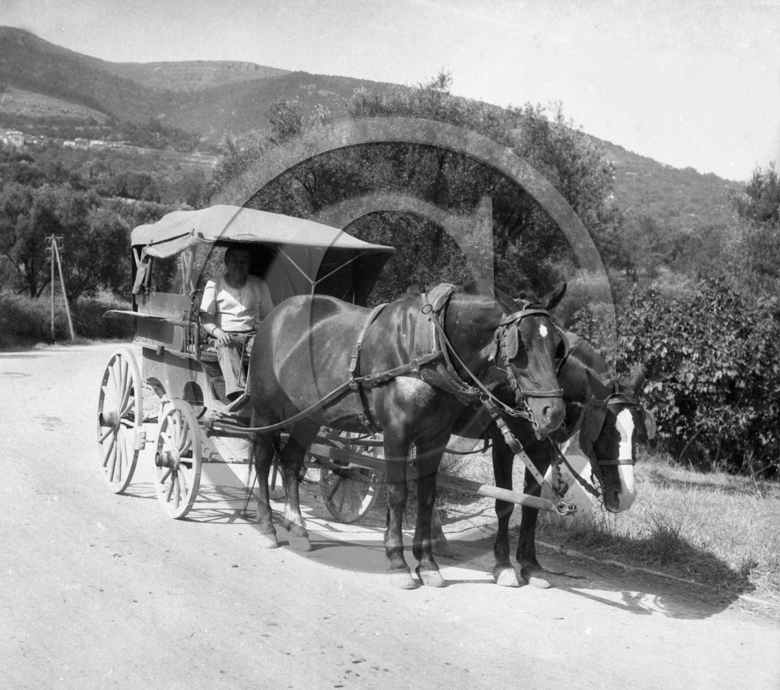 AG 644 attelage route de montagne .jpg