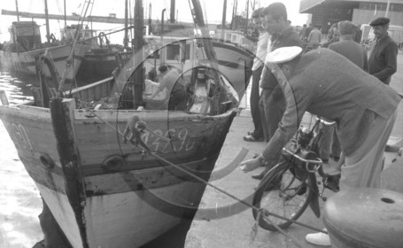 Arcachon -4 aout 66 Georges André AC 13290 un petit singe descend par le bout d'amarrage  velosolex  -2  .jpg