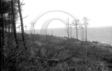 arc 4002   24x36    boite richard.jpg