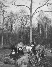 Vi  115 foret d'halatte  1907  d 60.jpg