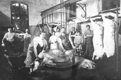 bouchers abattage de cochons.jpg