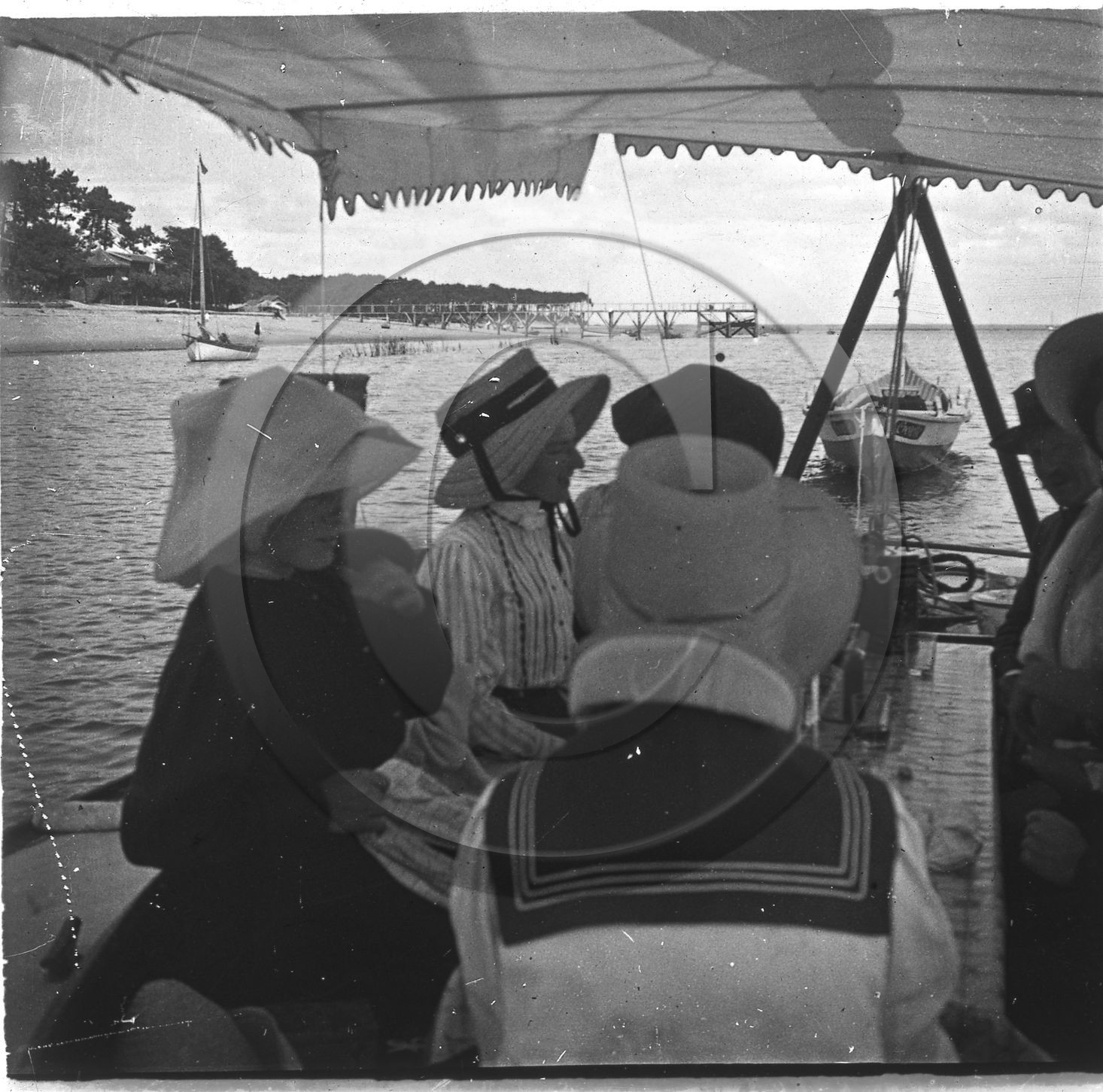 arc 3953 cap ferret.jpg