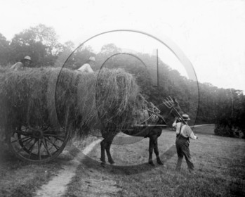 AG 661 attelage foins  .jpg