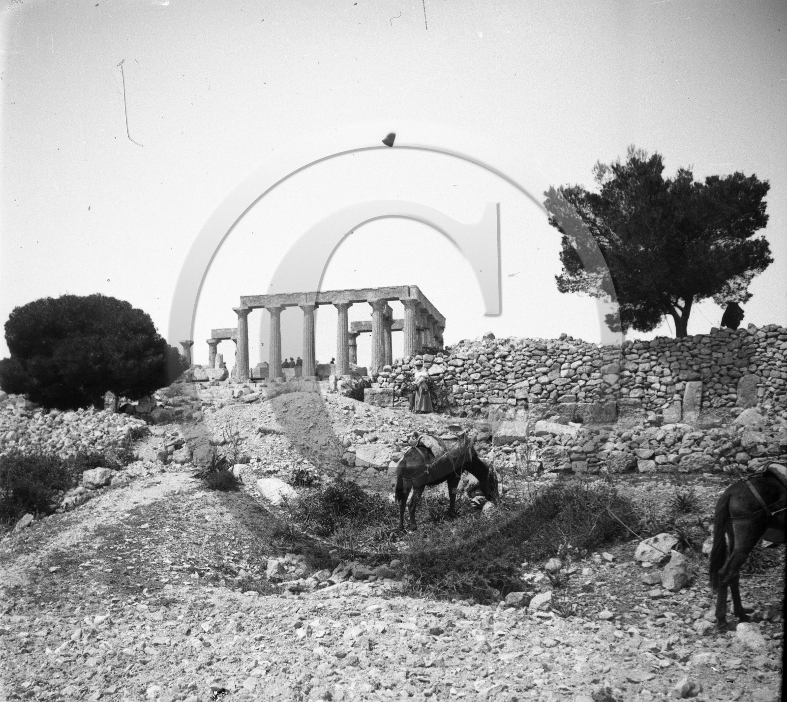 Egine temple d Athena   Grece.jpg