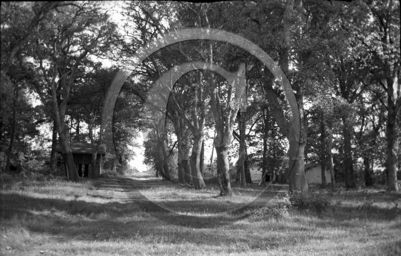 arc 2244 Malakoff  .jpg