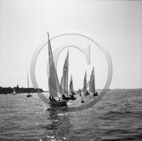 arc 2300  régate de dragons .jpg