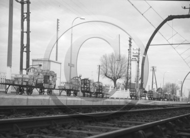 ARC 3637 expédition d'huitres 22 décembre 1966.jpg