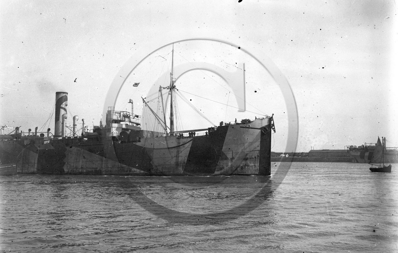 BA 1445  guerre camouflage .jpg