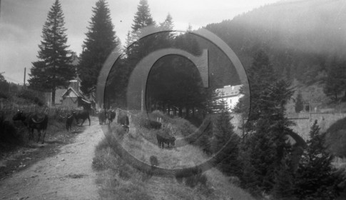 AG 692  serie Aurillac Salers photo Mirc .jpg