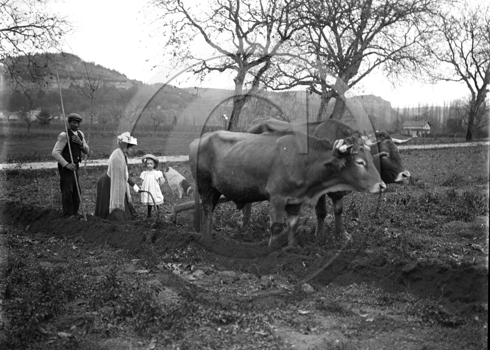 AG 745 laboureur - elegante et enfant .jpg