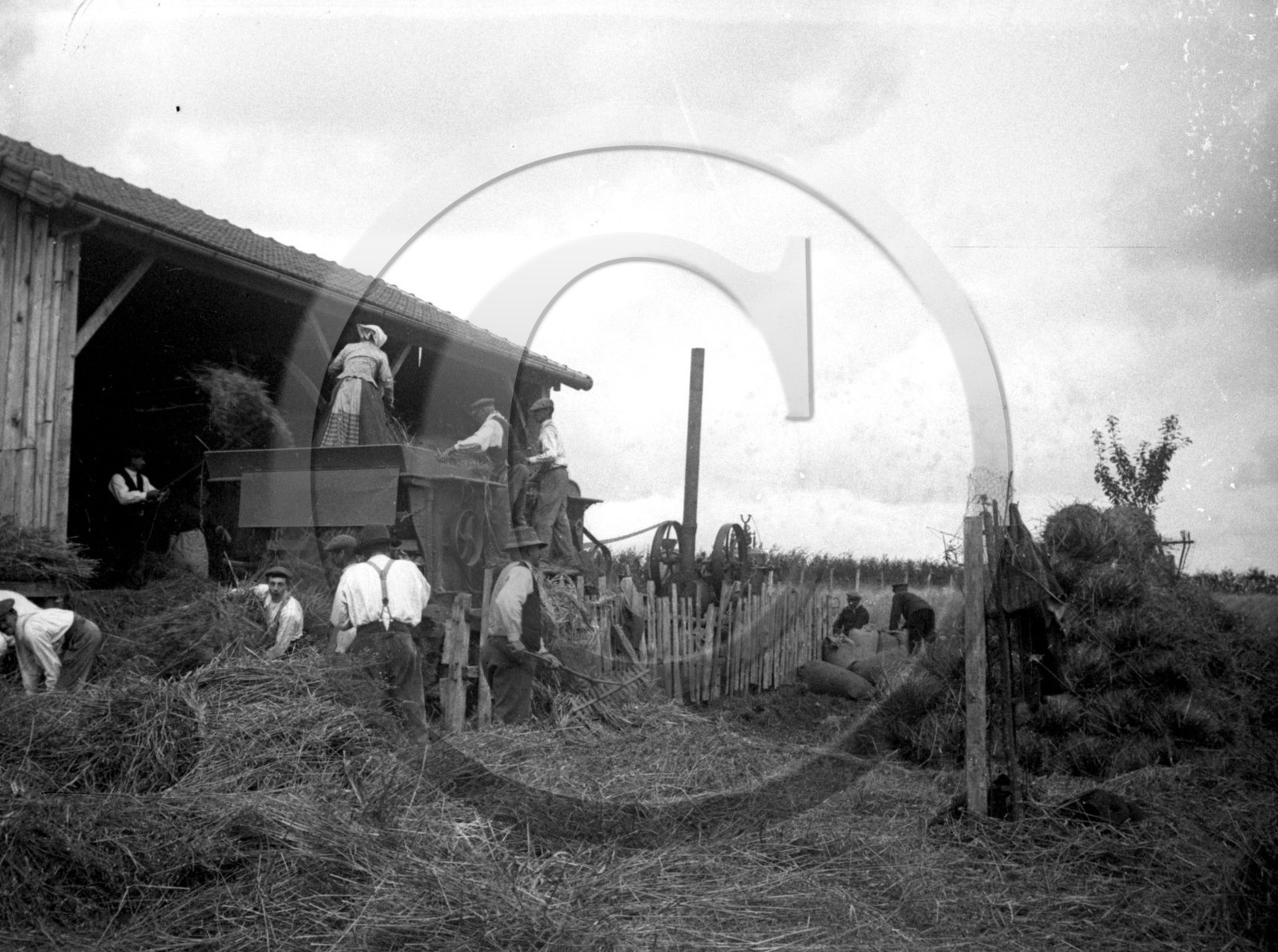 AG 746 moissonneuse  batteuse .jpg