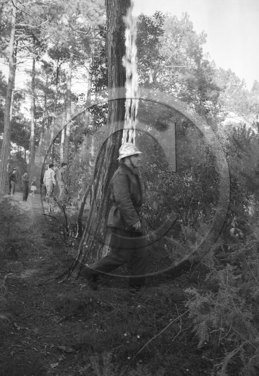 Pompiers du bassin d'Arcachon