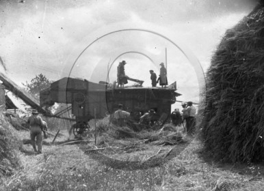 AG 735 les foins .jpg