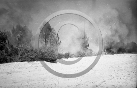 Pompiers du bassin d'Arcachon