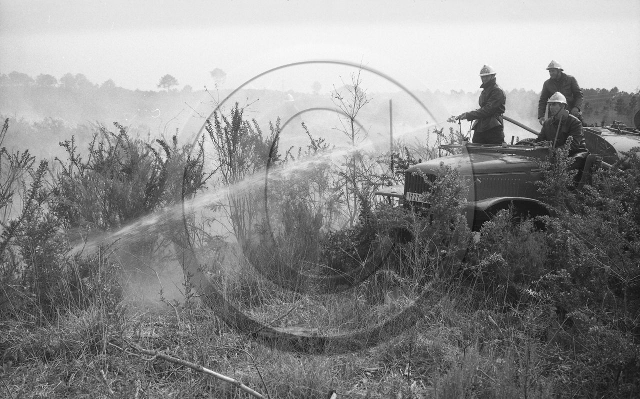 Pompiers du bassin d'Arcachon
