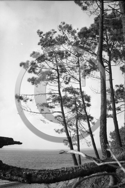 arc 4403 Abatilles .jpg