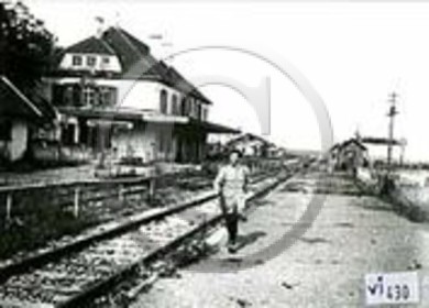 dannemarie vi 430.jpg