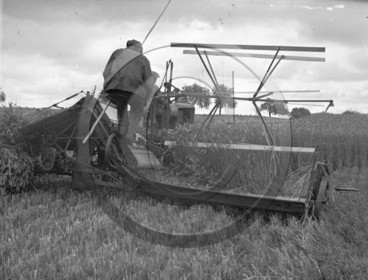 AG 534 moisson des blés .jpg