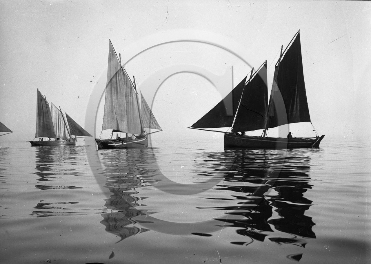 ba 661 douarnenez forbans  du bono en regate dpt 56.jpg