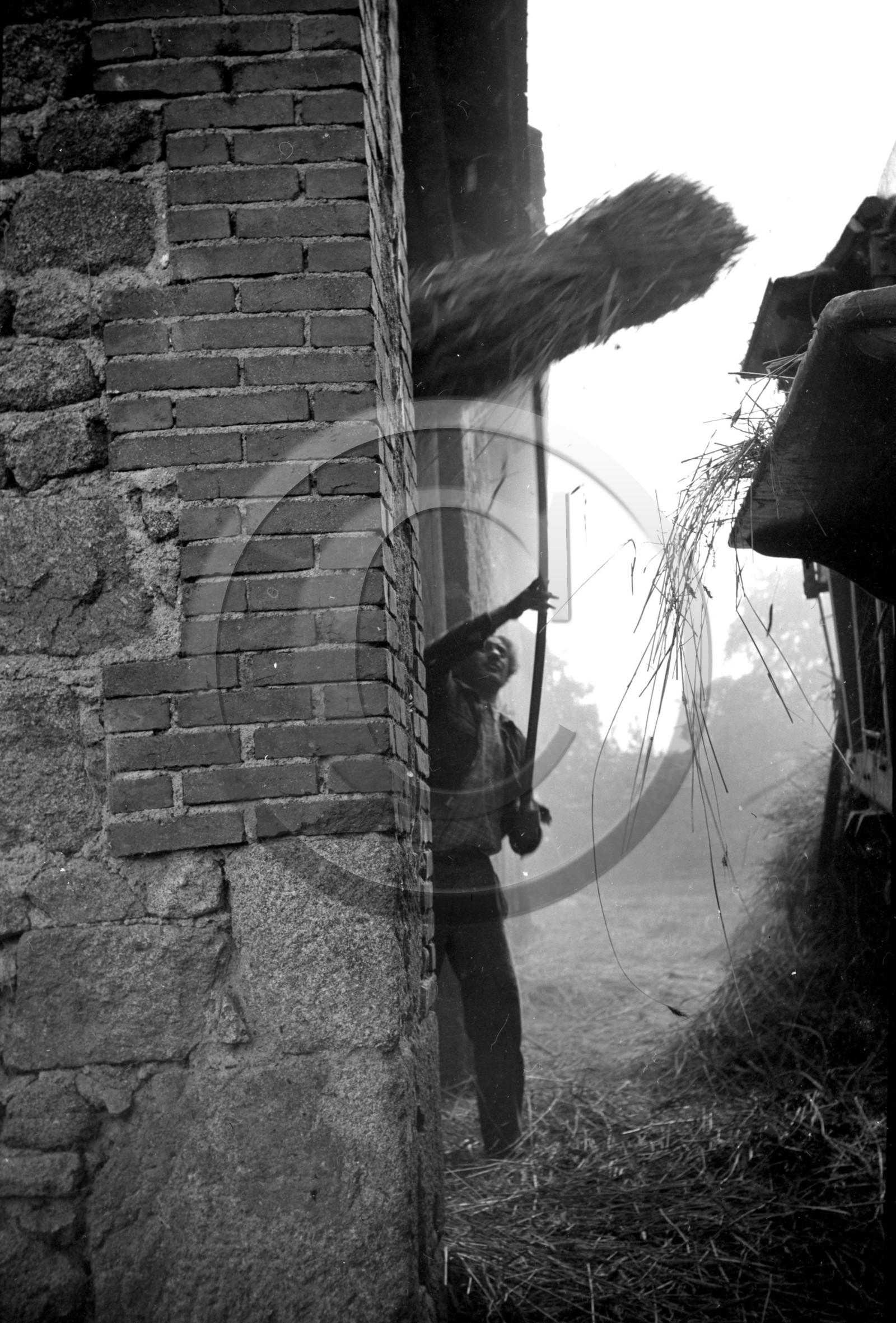 AG 609 travaux agricoles photo Enri Dargence .jpg