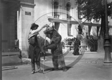vi  90 bis ours parc des quinconces allée d'etigny Bagneres de Luchon D 31.jpg