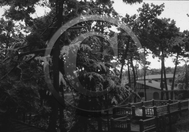 arc 4569 villa Canton le Moulleau .jpg