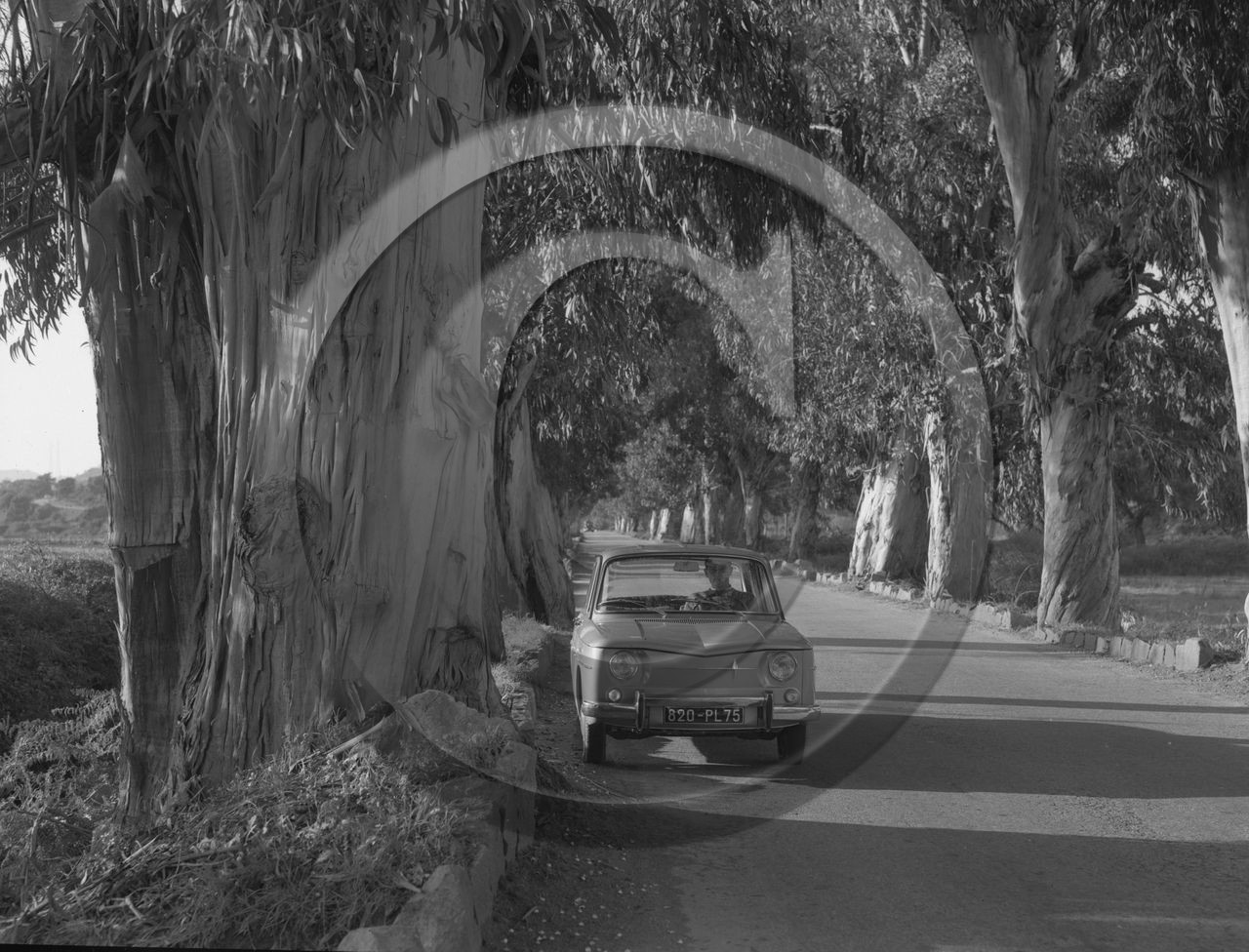 AU 3968 R8 Corse.jpg