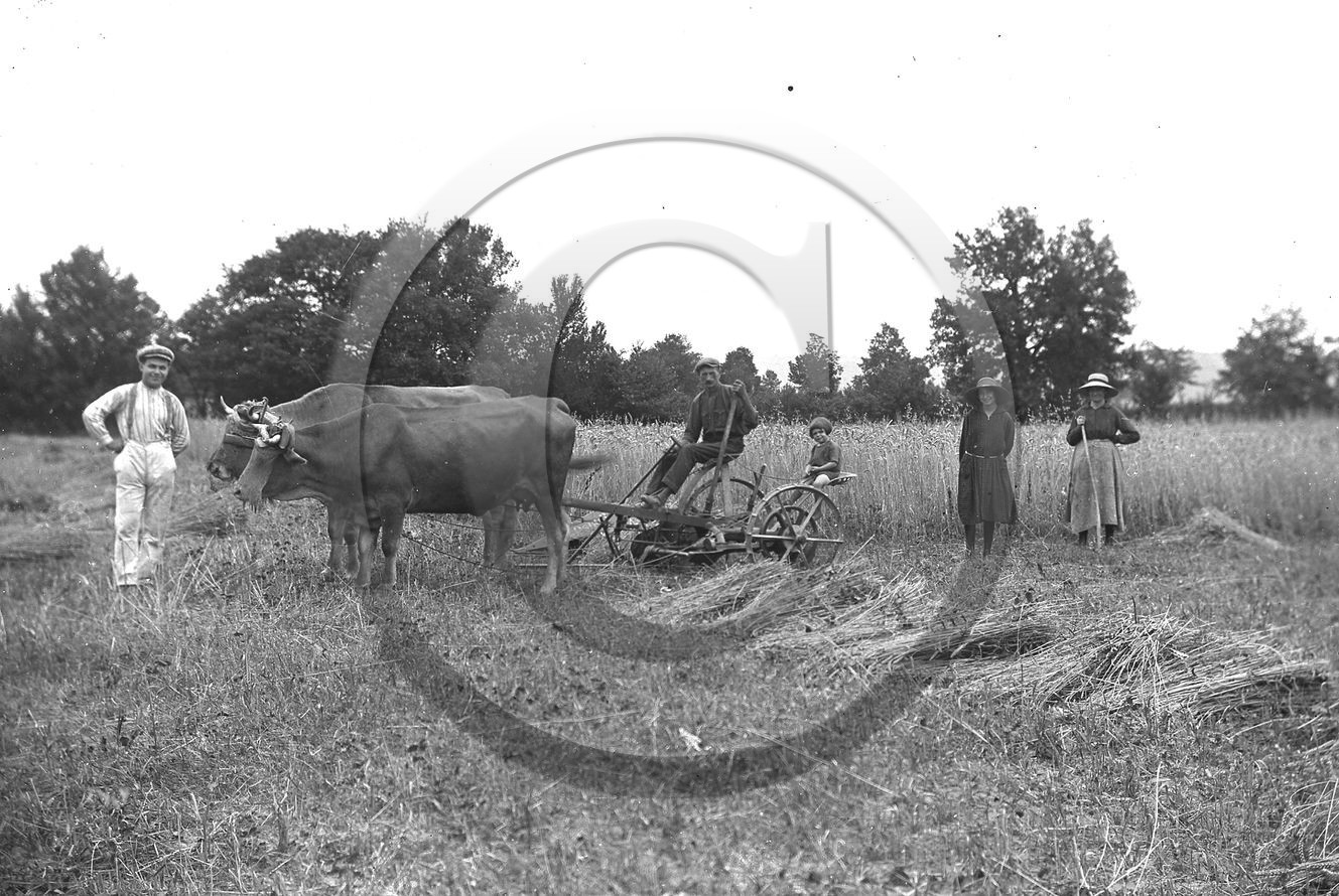 AG faucheuse plaque 13x18.jpg