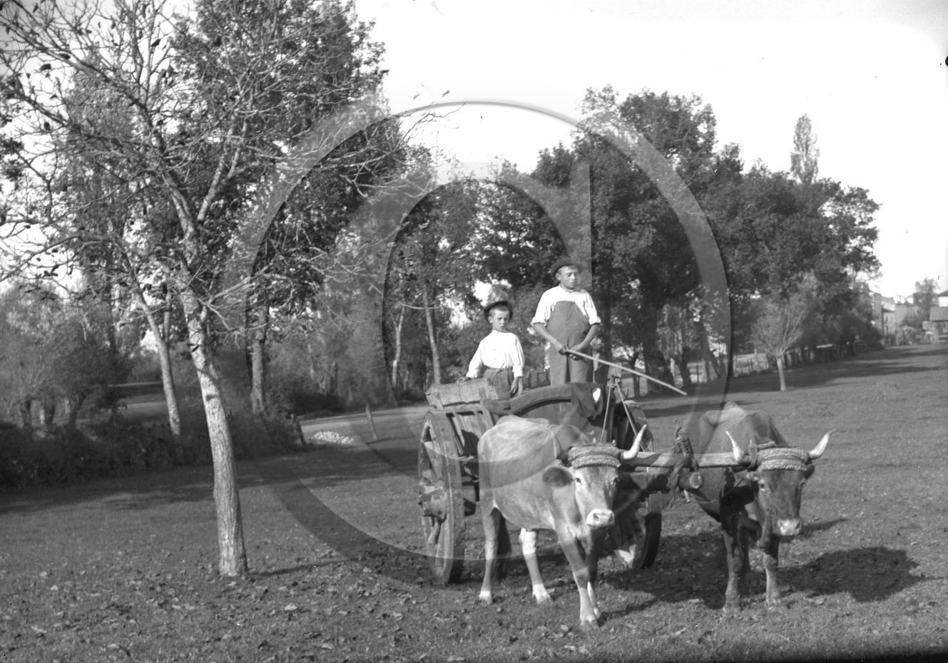 AG  CHARRETTE BOEUFS ENFANTS.jpg