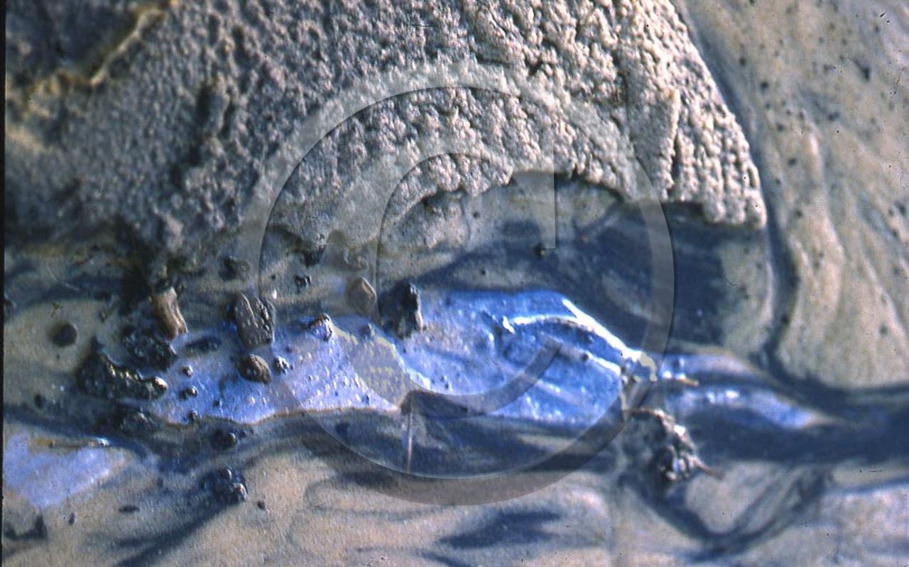 -32 photo abstraite pieds des dunes hiver   1957-58  photo Enri Dargence.jpg