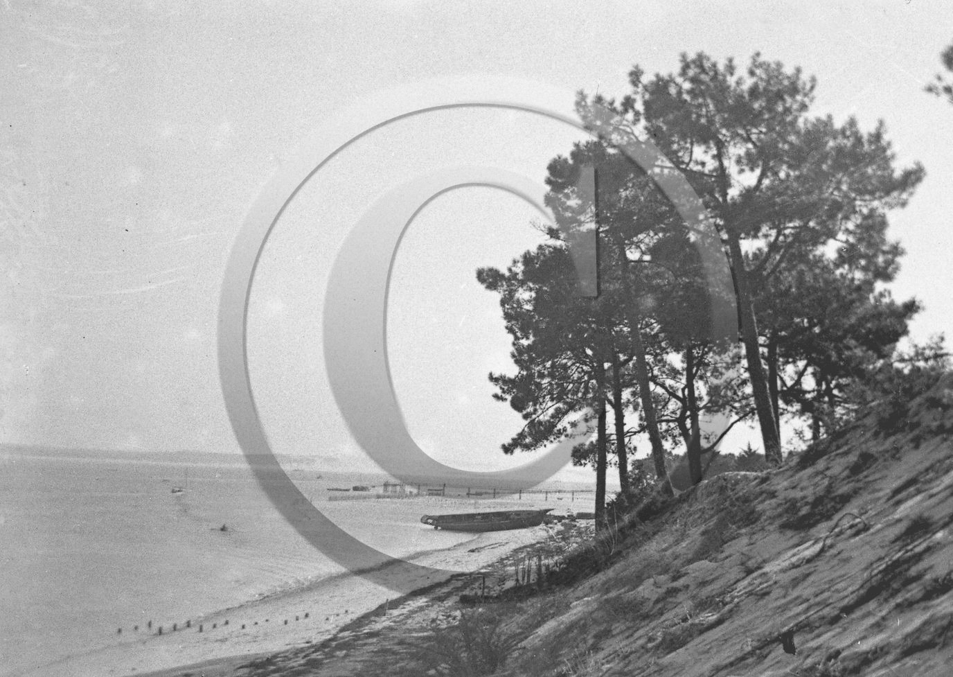 arc 1686  cap ferret.jpg