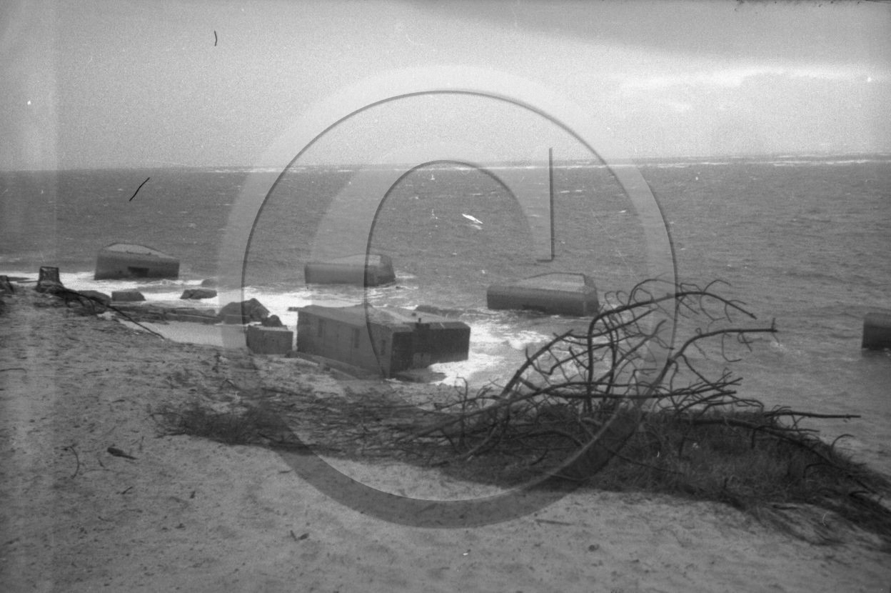 arc 4004  24x36    boite richard.jpg