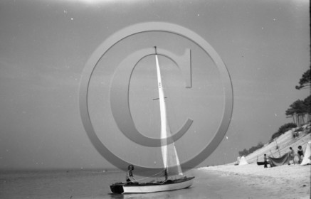 arc 4368 caneton plage des Abatilles.jpg