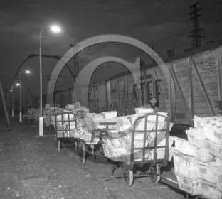 ARC 3636 expédition d'huitres 22 décembre 1966.jpg