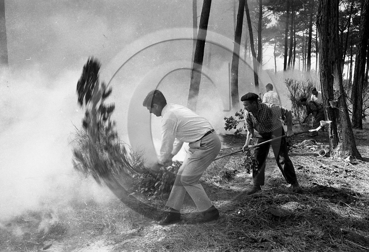 Pompiers du bassin d'Arcachon