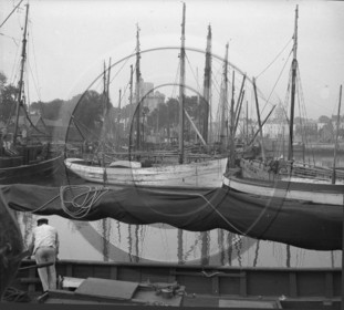 BA 239  la Rochelle le vieux Bassin dpt 17  .jpg