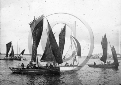 BA 411 ile Tudy Dpt 29 .jpg