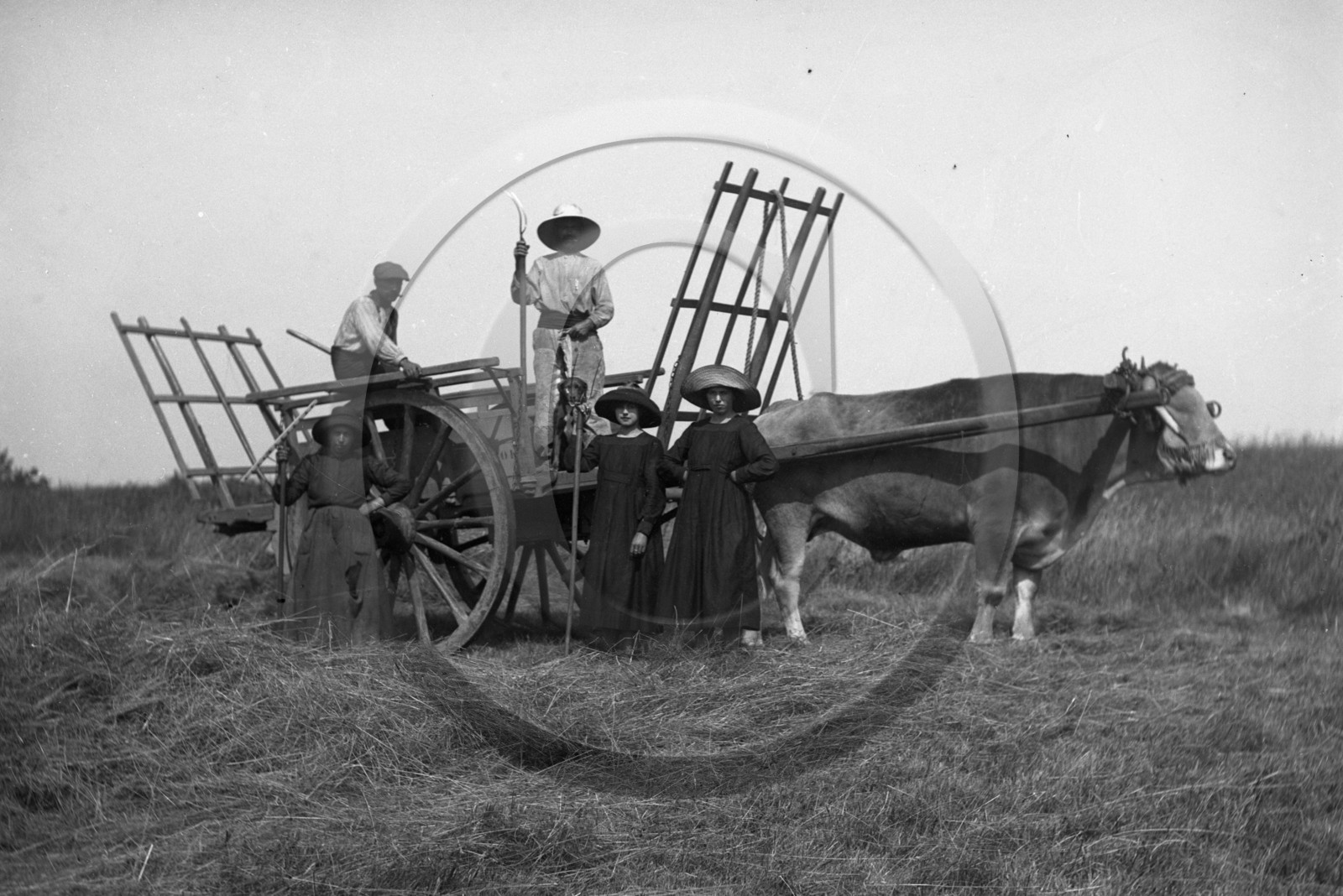 vi  1629 Loupiac les foins dpt 33.jpg