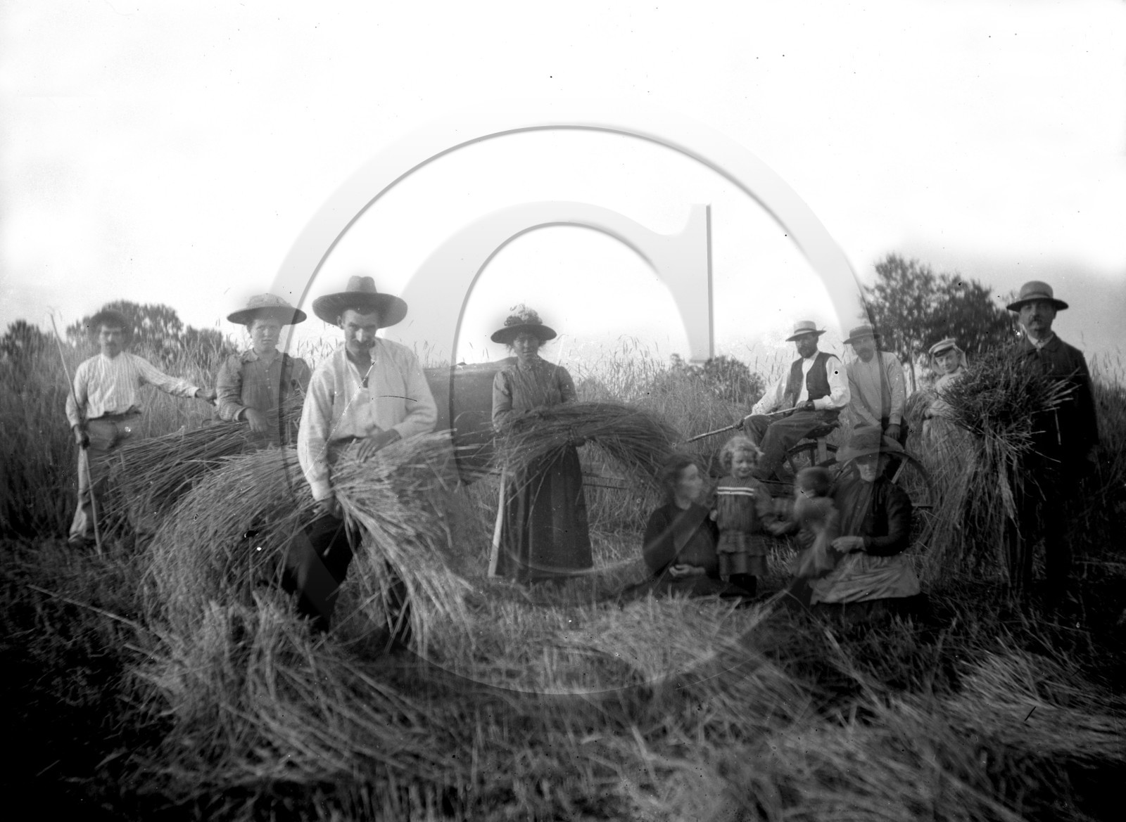 AG 682 mise en gerbes  13x18 .jpg