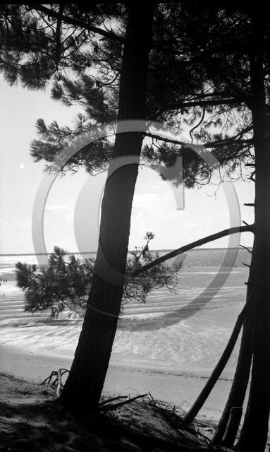 arc 4423 pins contre jour .jpg