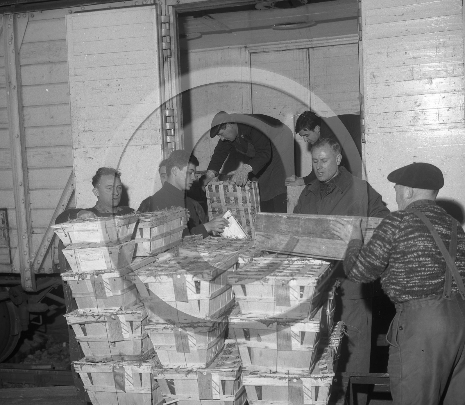 ARC 3634 expédition d'huitres 22 décembre 1966.jpg