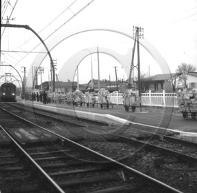 ARC 3638 expédition d'huitres 22 décembre 1966.jpg