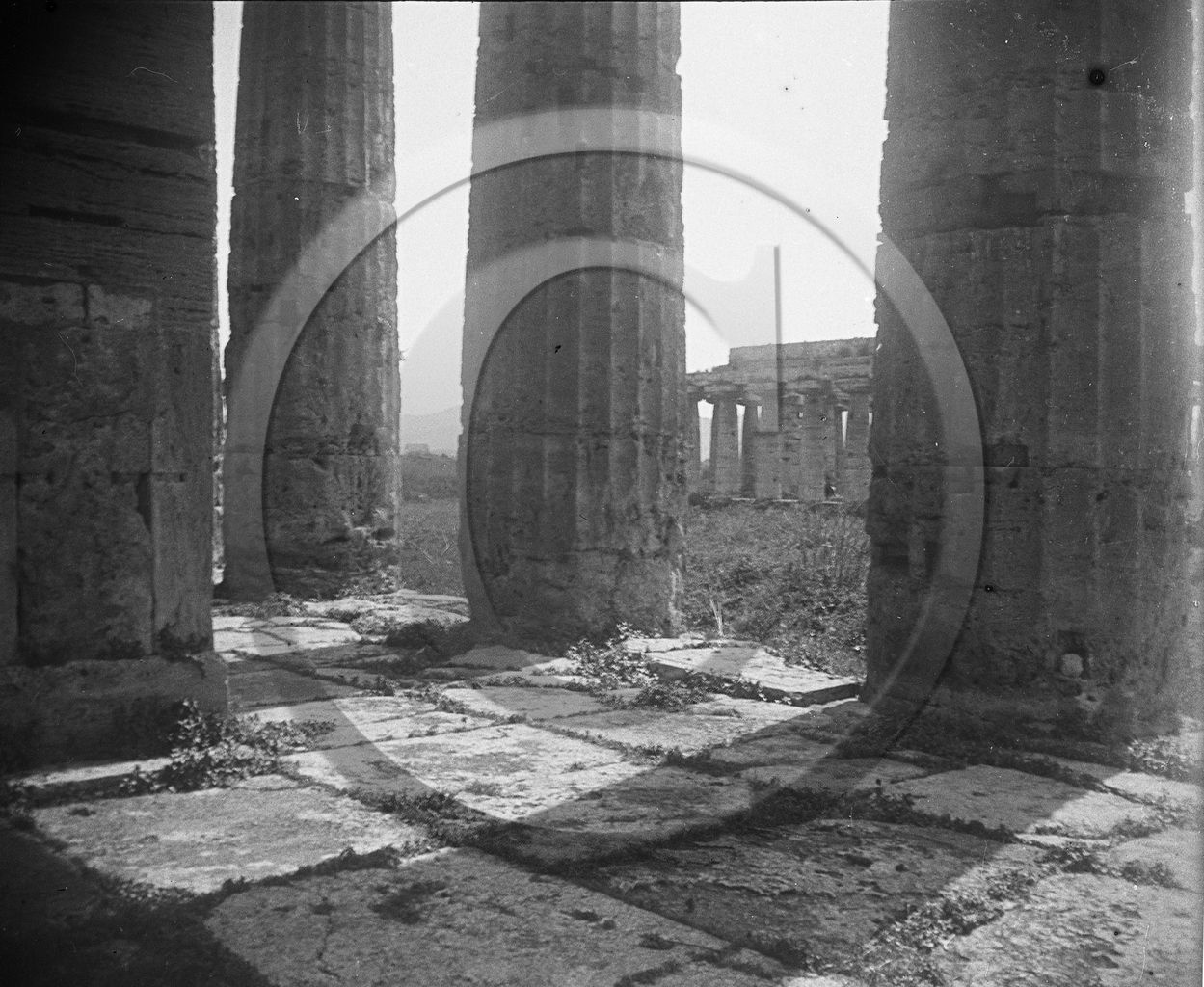 Paestrum temple de Neptune Italie .jpg