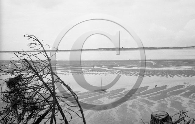 arc 4409 Abatilles .jpg